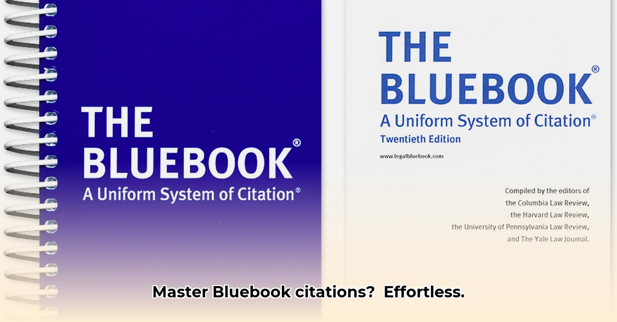 bluebook-docket